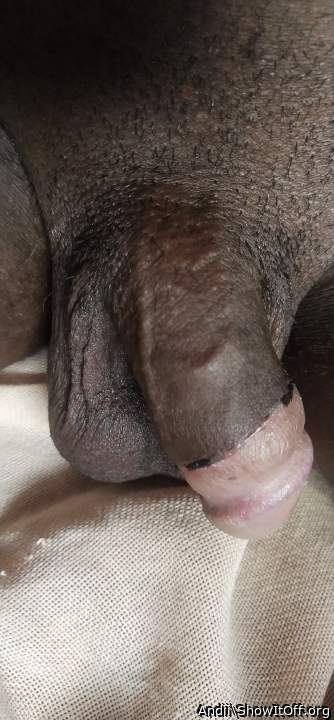 Photo of a third leg from Andii