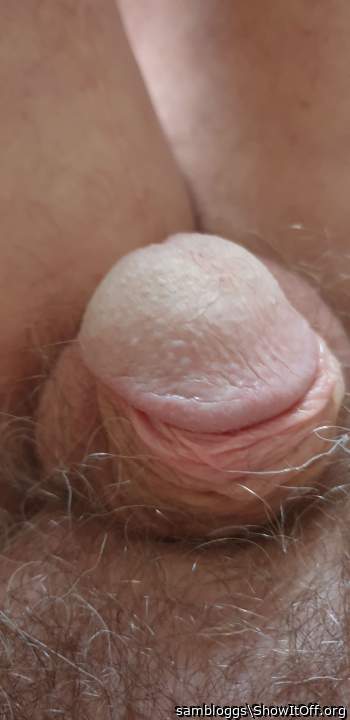 Photo of a one-eyed monster from sambloggs