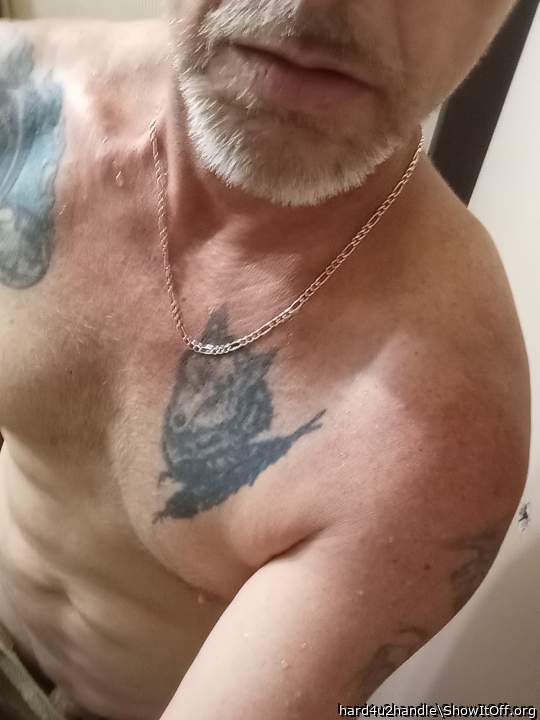Photo of a cock from hard4u2handle