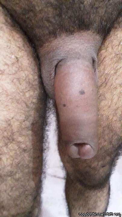 Photo of a thing from noodo