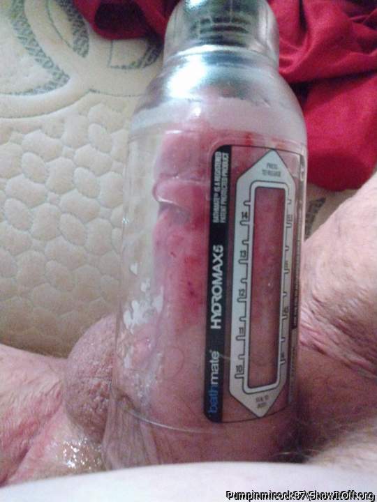 Photo of a cavalier from Pumpinmicock87