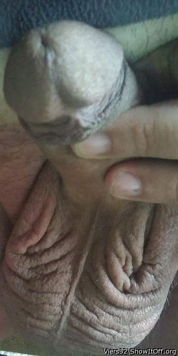 Photo of a third leg from Viers32