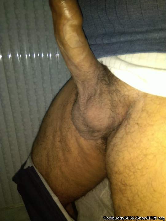 Photo of a snake from Coolbuddy6669