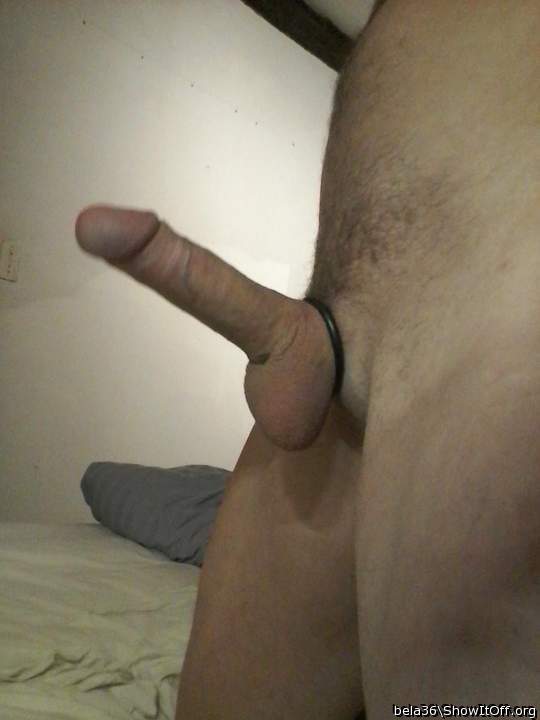 Photo of a pecker from bela36