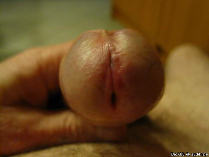 Photo of a dick from Dick88
