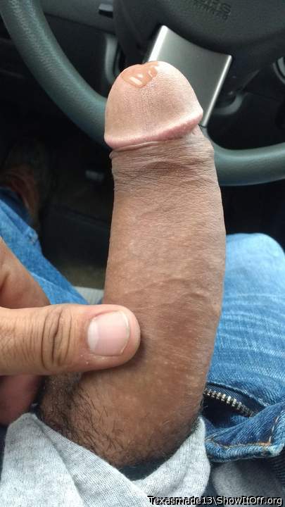 Photo of a cavalier from texasmade13