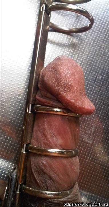 Photo of a dong from oldper69