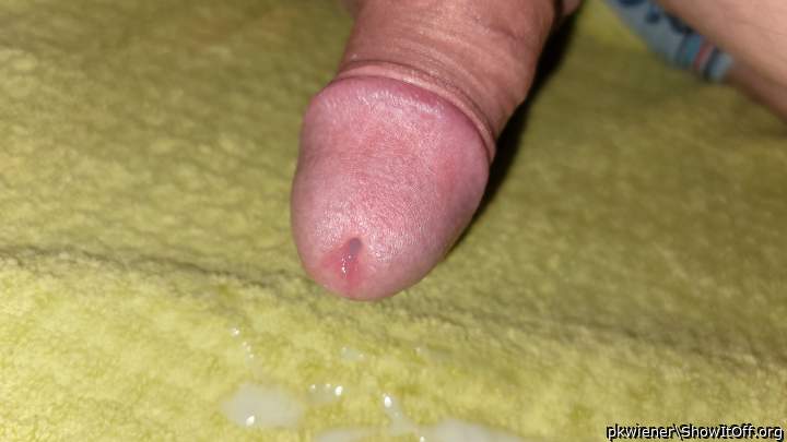 Photo of a wiener from pkwiener