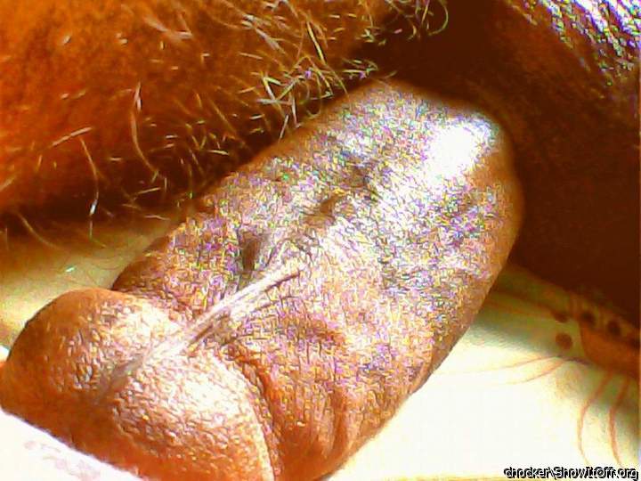 Photo of a meat stick from chocker