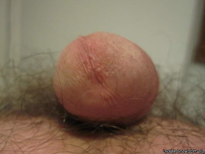 Photo of a sausage from Dick88