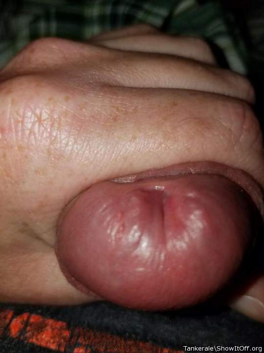 Photo of a wiener from Tankerale