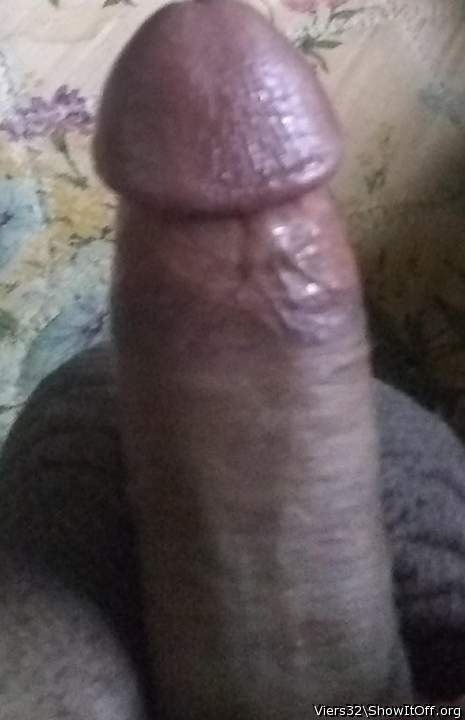 Photo of a hot dog from Viers32