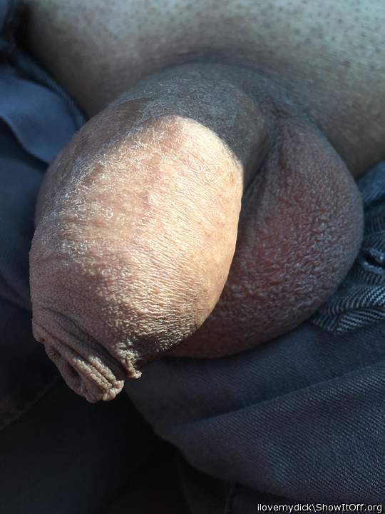 Photo of a bat from ilovemydick