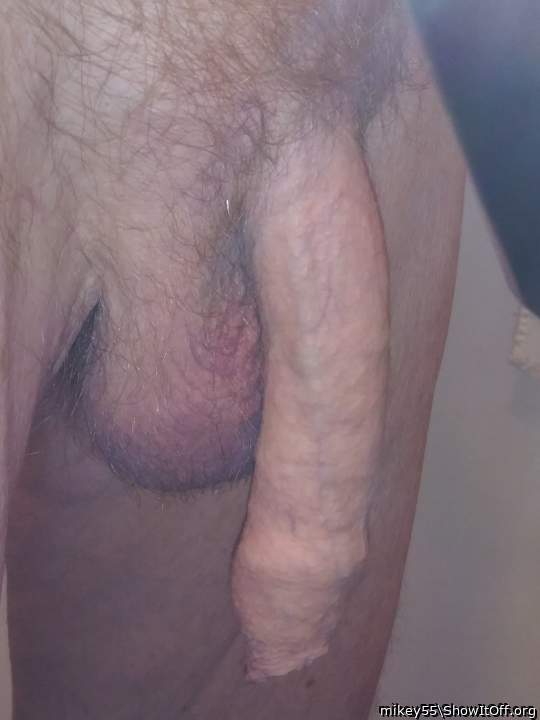 Foreskin