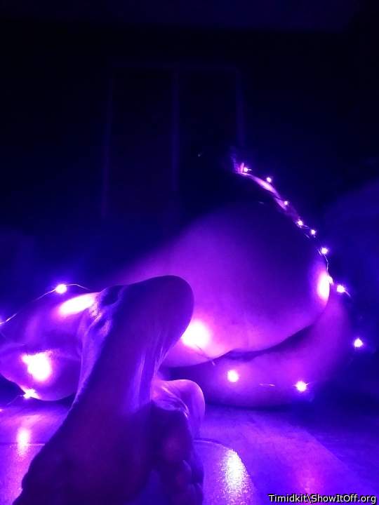 Holiday Lights ♡