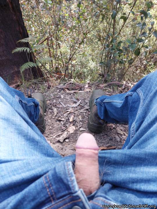 Photo of a drain pipe from Hornykiwi55