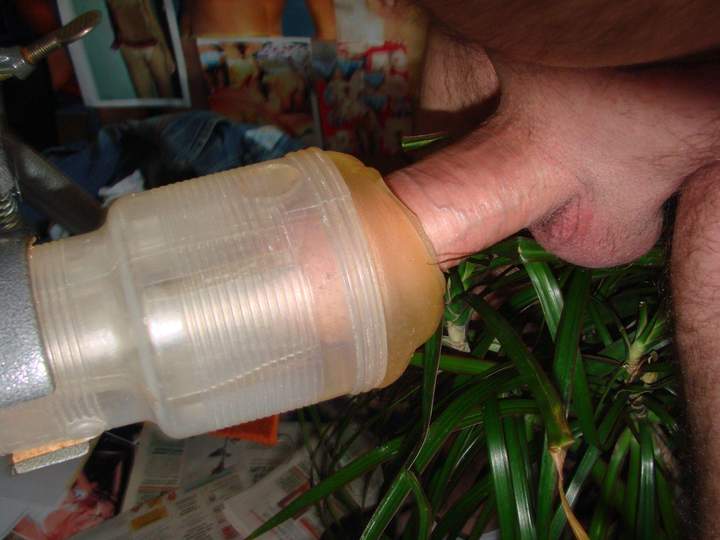 Adult image from dischwa