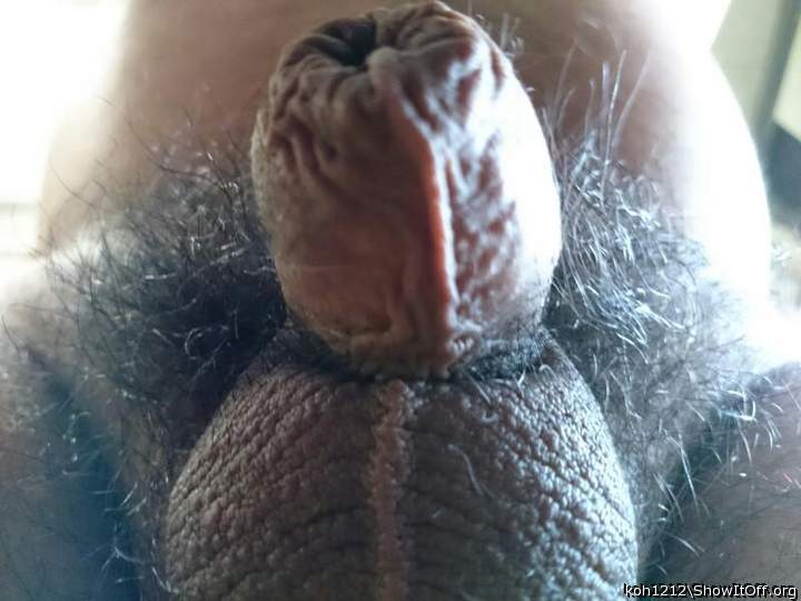 Photo of a one-eyed monster from koh1212