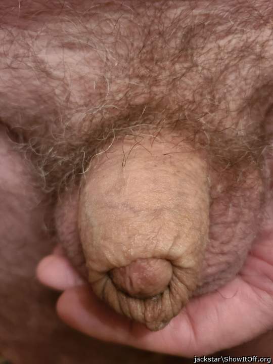 Photo of a one-eyed monster from jackstar