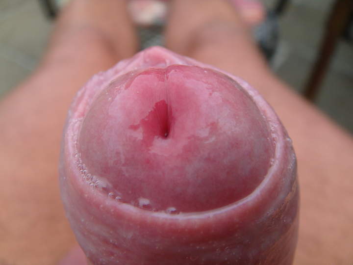 Photo of a third leg from sivad666