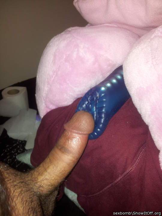 Photo of a snake from Sexbomb