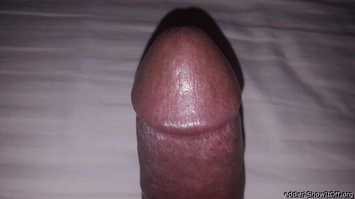 Photo of a prick from eddier