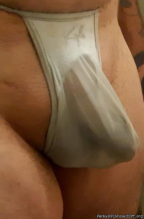 Photo of a snake from Perky69