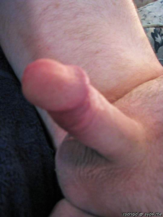 Photo of a sausage from rodrigid