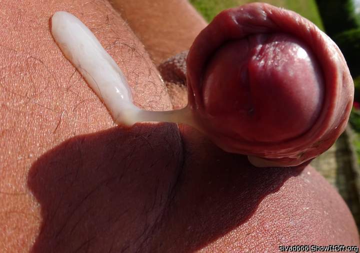 Photo of a dick from sivad666