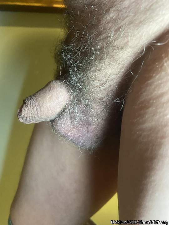   beautifully bushed