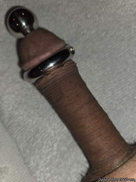 6-1/2" Long - 14mm Thick Urethral Sound and Heavy Glans Rings