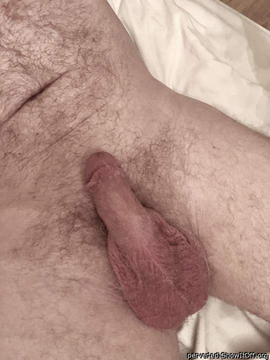 nice cock and nice hairy body too