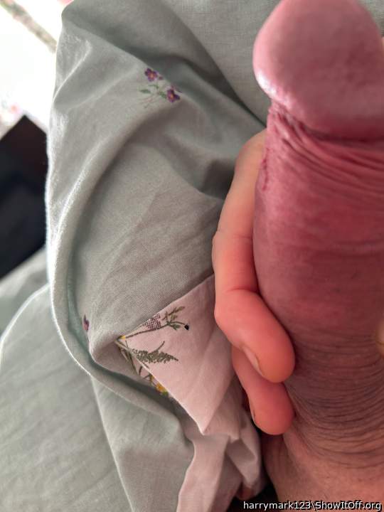Photo of a middle leg from harrymark123