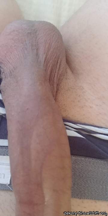 Photo of a ram rod from dekory