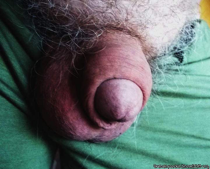 hairy hangout