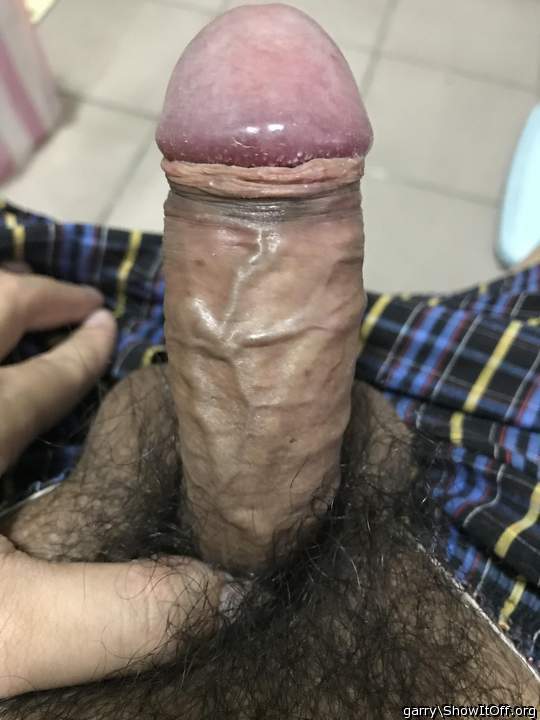 Hot veiny cock 