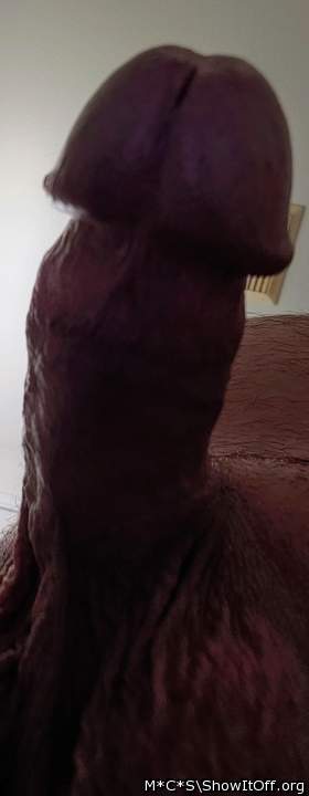 Photo of a third leg from M*C*S