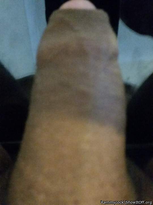 My cock waiting for someone to play with it