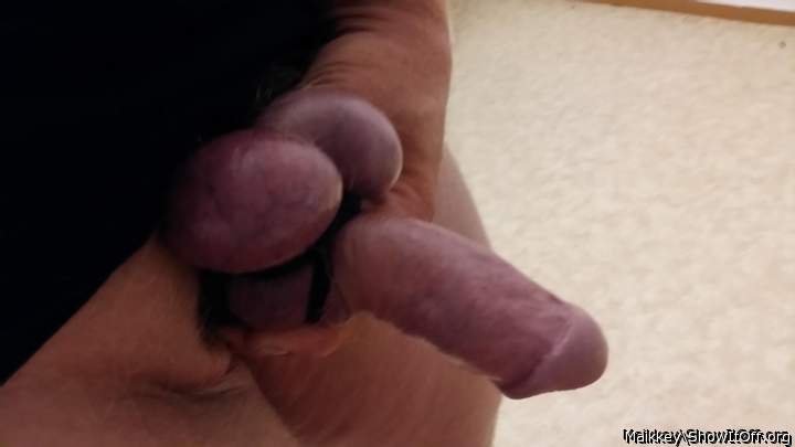 Photo of a lizard from Maikkey
