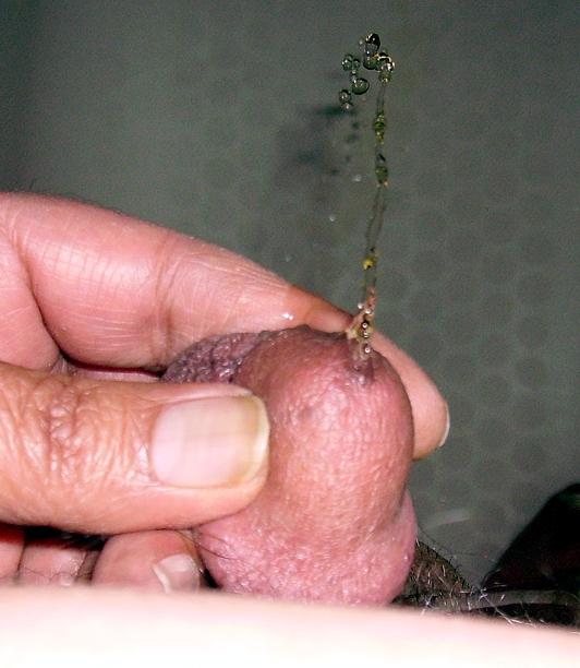 Photo of a horn from greatct