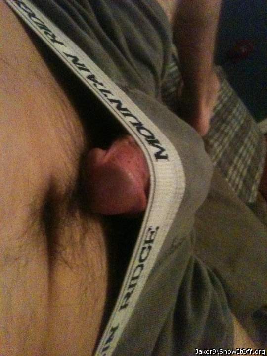 softy just peaking at you :-)