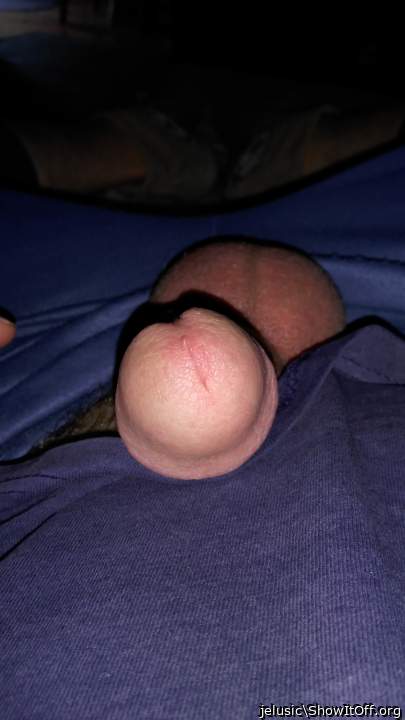 Photo of a wiener from jelusic