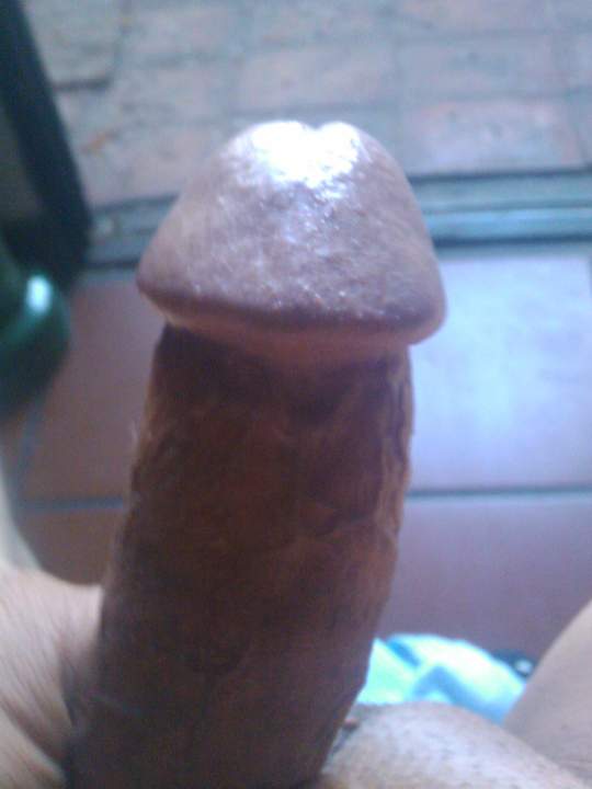 joeys cock