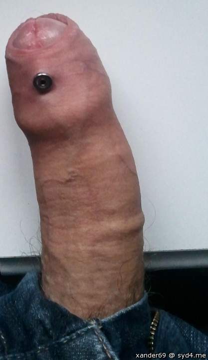 Photo of a middle leg from xander69