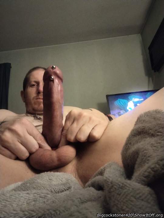 Terrific pierced cock.      