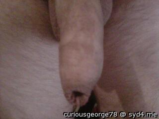 Photo of a python from curiousgeorge78