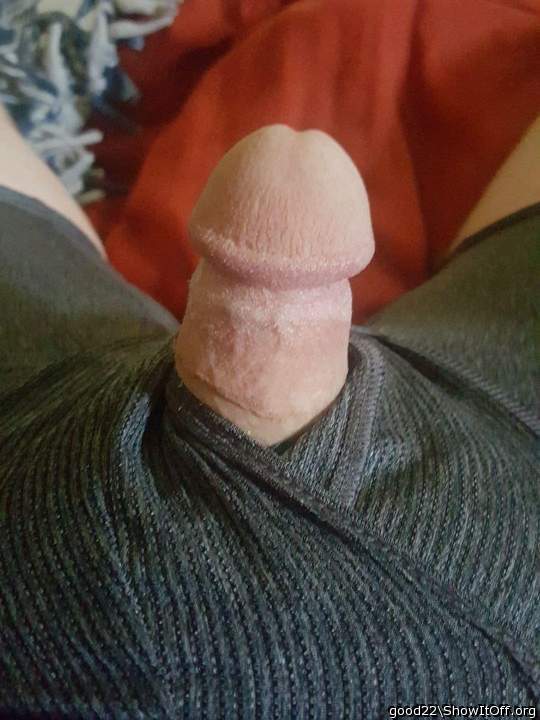 Photo of a short leg from good22