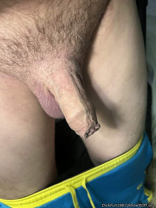 Photo of a boner from DickFun1981