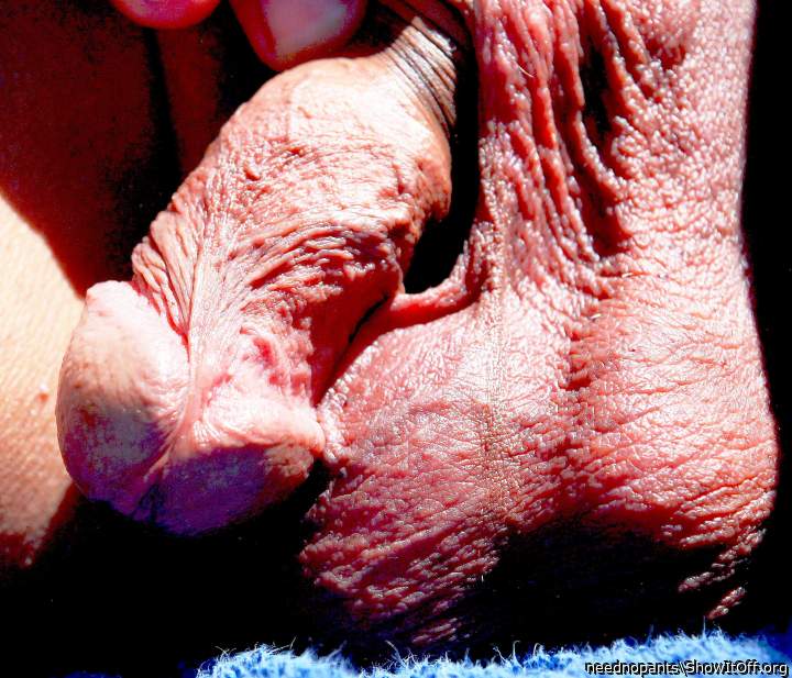 Beautiful testicles and nice frenulum  