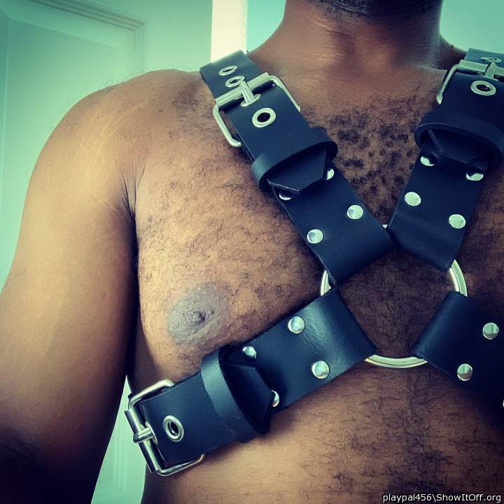 Awesome harness!      